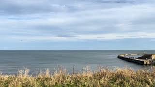 26oct24 seaham beach uk [upl. by Valentijn219]