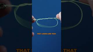 How To Tie a UNI KNOT fishing fishingknot uniknot [upl. by Naitsabes]