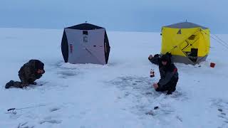 Stintu zvejyba 2018 Zvejota Nidoje smelt fish fishing [upl. by Wilbur821]