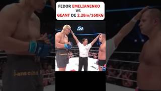 Fedor EMELIANENKO vs GEANT mma fedoremelianenko short combat pride [upl. by Birdie]