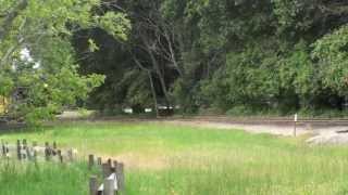 Roaring Camp Railroads Felton CA [upl. by Oicirtap]