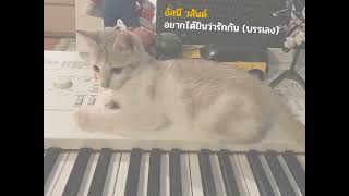 อยากได้ยินว่ารักกัน  อัสนี วสันต์ instrumental [upl. by Nnaeirb]