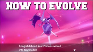 HOW TO EVOLVE POIPOLE INTO NAGANADEL IN POKEMON SWORD AND SHIELD CROWN TUNDRA DLC [upl. by Daffie]