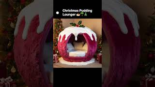 I Need a Christmas Pudding Lounger 🍮🌴🎄 [upl. by Donella]