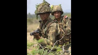 Indianarmy फौजीनेबतायीबॉर्डरकीसच्चाईभाईको दिलसेसैल्यूट Shorts shortvideo viralpost [upl. by Ahsinak453]