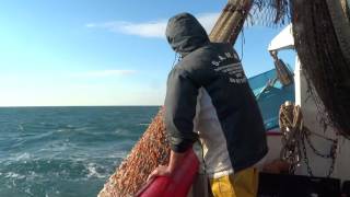 Une journée de pêche à bord du chalutier quot Méditerranée quot Grau dAgde [upl. by Cinda]