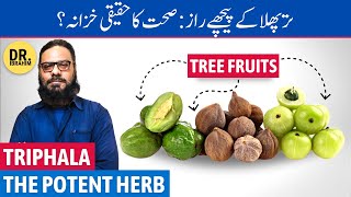 Triphala Sehat Ka Asli Khazana Triphala Benefits in UrduHindi  Dr Ibrahim [upl. by Leahplar]