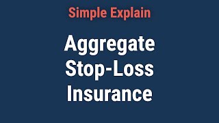 What Is Aggregate StopLoss Insurance [upl. by Enajharas]