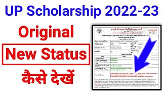 How to Check UP Scholarship Status 202223  यूपी स्कॉलरशिप स्टेटस कैसे चेक करें  up scholarship [upl. by Casta]