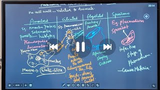 KINGDOM PROTISTA PART 3 BIOLOGIAL CLASSIFICATION  NEET BIOLOGY [upl. by Anny]