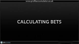 Matched Betting Basic Training Tutorial with Profit Accumulator [upl. by Amiaj]