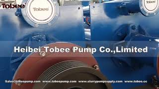 Tobee® 200SV SP Vertical slurry pumps [upl. by Nafets]