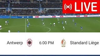 Live Match Antwerp vsStandard Liège  Belgian First Division A20242 [upl. by Caitrin]