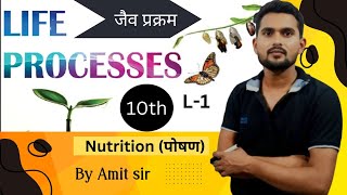 Anabolism and Catabolism  Nutrition by amit sir [upl. by Annohsak]