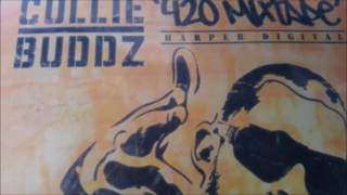 collie buddz come around [upl. by Elleval]