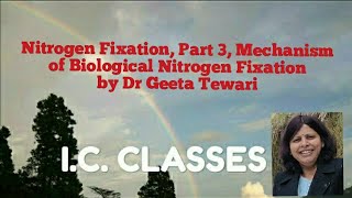 Bioinorganic Chemistry Part 7 Nitrogen fixation part 3 Mechanism of Nitrogen Fixation by Dr Geeta [upl. by Nedlog94]