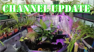 Masdevallia orchids and More Channel Update 2024 [upl. by Lower]