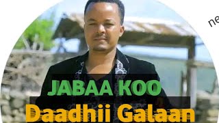 Daadhii Galaan New Ethiopian Oromo music 2024 [upl. by Eduino]