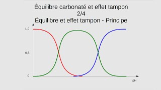 AquaMad 02  Équilibre carbonaté et effet tampon  24 [upl. by Genia350]