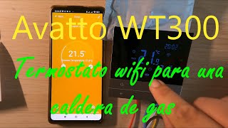 AVATTO termostato WT300 digital y Wifi Control desde tu móvil alexa google voice super fácil [upl. by Germain]