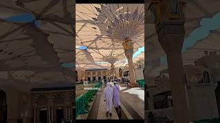 madina masjidnabawi trending rozarasool instagram umrah prophetmuhammad [upl. by Obnukotalo]