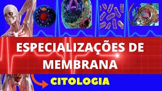 ESPECIALIZAÇÕES DE MEMBRANA PLASMÁTICA  CITOLOGIA  ENSINO SUPERIOR  MEMBRANA PLASMÁTICA [upl. by Nomihs]