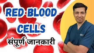 Lecture on RBC in hindiRed blood cell physiology in hindi [upl. by Inohs]