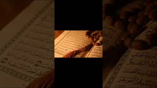 Dil ko sakon dataa hai allah viralvideo alquran love beautiful [upl. by Niobe]