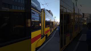 basel bahnhof blt 11TRAM 1545 Basel Dreispitz 29112024 BasellandTransport [upl. by Aleyam]