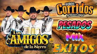 Rancheritas con el trio Los Amigos de la sierra 🎶Las Mejores Canciones💽 Exitos De Oro [upl. by Heathcote723]