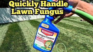 How To Treat Lawn Fungus In Any Grass Type With Bioadvanced Fungus Control For Lawns [upl. by Aicad337]