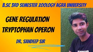 Tryptophan Operon  Bsc 3rd sem zoology Regulation of gene expression in prokaryotes [upl. by Bethel]