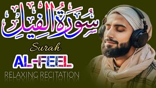 Surah Feel Beautiful 😍 Recitation Surah feel with translation [upl. by Corbin]