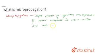 what is micropropagation [upl. by Elazaro179]