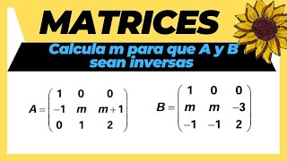 ✅Matriz INVERSA con parámetros [upl. by Marchall]