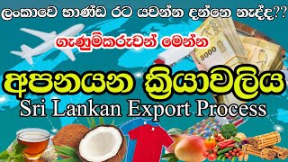 Sri Lankan Export Process Step By Step  Export Procedure For Small Business Entrepreneurs [upl. by Strong]