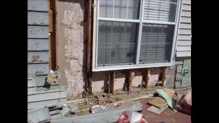 Major Termite Damage Minimal Repair Cost [upl. by Kallista]