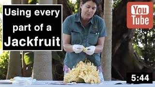 Jackfruit Tree  Using Every Part of the Fruit [upl. by Yna]