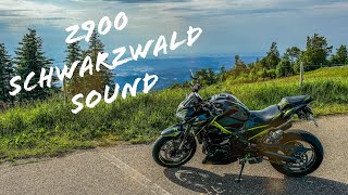 Z900  Sound  Schwarzwald 2 [upl. by Inalaehon]