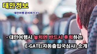 대만여행시 공항에서 반드시 해야하는 자동출입국심사 신청 안내EGATE 대만자유여행준비 3 [upl. by Adena]