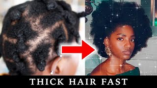 Thin to THICC 4C Natural Hair  How to Grow Thicker Hair [upl. by Slaohcin301]