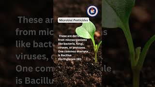 Biopesticides sciencefather biopesticides researchers [upl. by Anemaj]