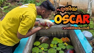 Oscar Fish Malayalam  Cichlid Fish Malayalam  Nature n Co [upl. by Bliss]