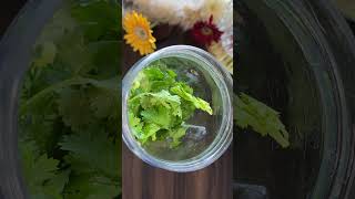 Kiwi Smoothie with Mint and Coriander for glowing skin shortvideo smoothie skincare shorts kiwi [upl. by Noside]