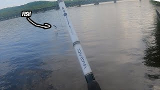 Big fishes from the fishing ramp Lake Wisconsin [upl. by Dearborn]