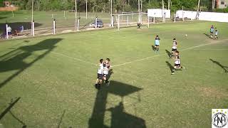 ana vs ringuelet cat 2009 resumen [upl. by Elehcin]