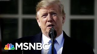 Our President Is An Idiot’ Trump Facing Both Sides Over Emergency Declaration  Deadline  MSNBC [upl. by Furlong68]