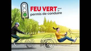 FEU VERT pour le permis de conduire  Belgique [upl. by Hewart715]