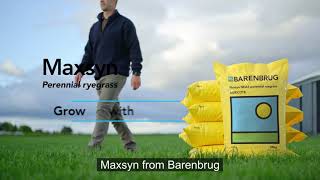 Barenbrug Maxsyn15 sec [upl. by Arissa]