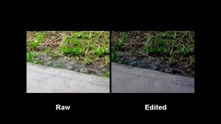 Canon Powershot SX120 IS Video Test [upl. by Asfah]